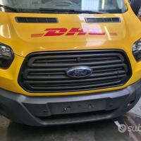 Paraurti musata anteriore completa cofano transit