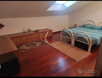 Singola Camera matrimoniale ampia