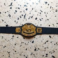 Jakks Pacific WwF1 WORLD Wrestling Champion Belt