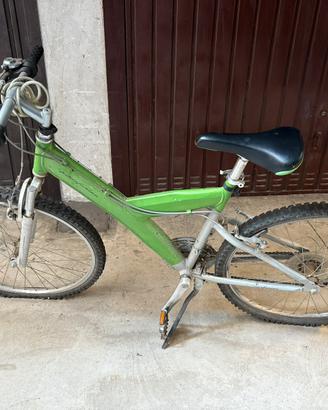 Mountain bike Pininfarina verde