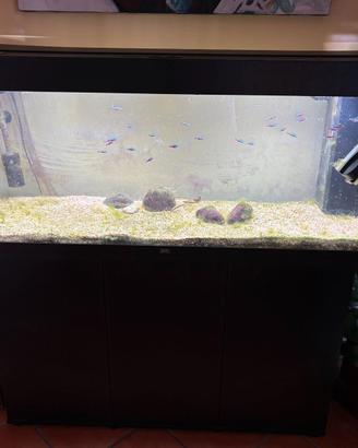 Acquario Juwel 240