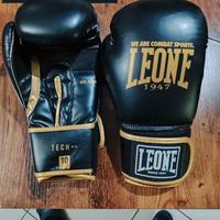 Guantoni da Boxe/Arti Marziali 