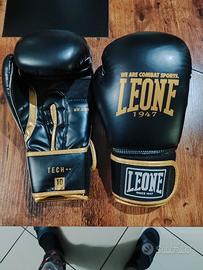 Guantoni da Boxe/Arti Marziali 