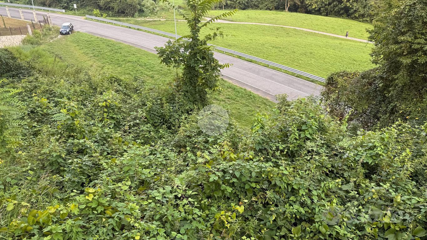 TER. RESIDENZIALE A LOSINE - Vista 4