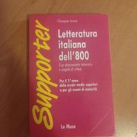 letteratura italiana dell ottocento 