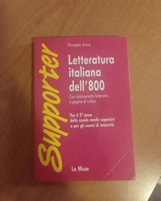letteratura italiana dell ottocento 