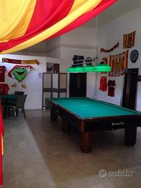 Biliardo professionale riscaldato Hermelin