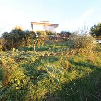 Terreno edificabile residenziale - Massignano