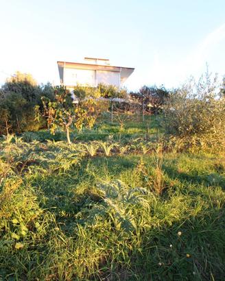 Terreno edificabile residenziale - Massignano