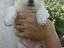 Immagine 2