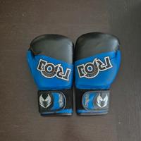 Guantoni Boxe Trojan - Blu/Neri