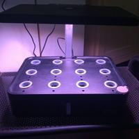 Kit idroponico iDOO + lampada LED piante completo