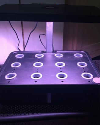 Kit idroponico iDOO + lampada LED piante completo