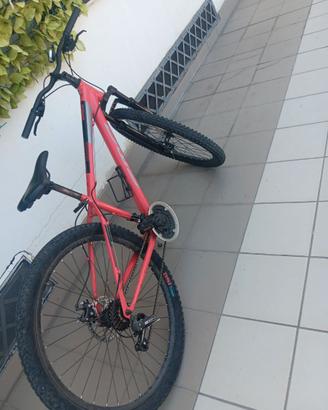 Bici..