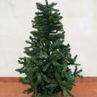 Albero di natale