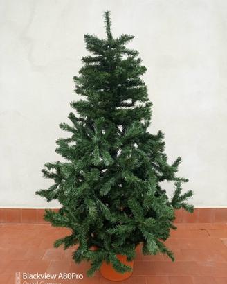 Albero di natale