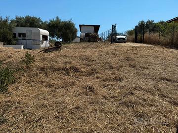 Terreno agricolo