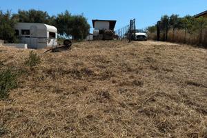 Terreno agricolo