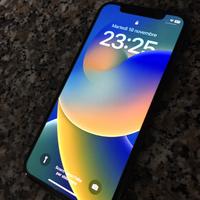 IPHONE X funzionante