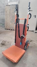 Montascale saliscale Mario.