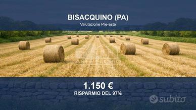 Immobile in asta di 46338 m² a Bisacquino