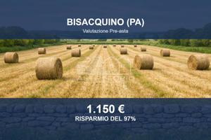 Immobile in asta di 46338 m² a Bisacquino
