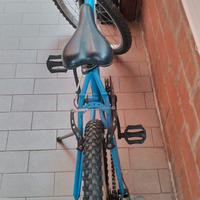 bicicletta 