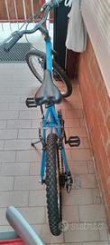 bicicletta 