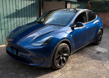 TESLA MODEL Y RWD