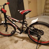 bicicletta 20