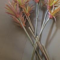 Rami decorativi