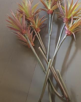 Rami decorativi