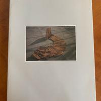Libro Silverio Riva