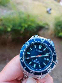 Citizen Promaster Eco-Drive BN0191-80L