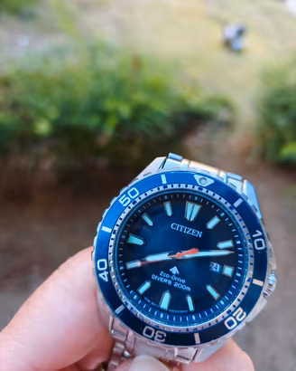 Citizen Promaster Eco-Drive BN0191-80L