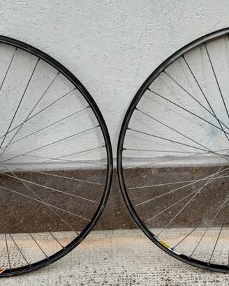 Ruote corsa Campagnolo per eroica + pignoni Regina