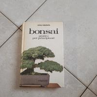 bonsai pratico per principianti 