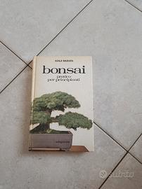 bonsai pratico per principianti 