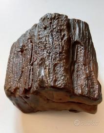 Legno Silicizzato gr 135