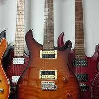 PRS Custom SE 22