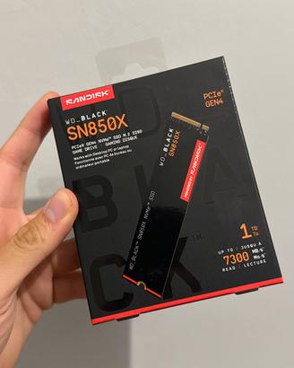 Ssd 1Tb mai usata