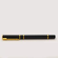 WATERMAN PENNA STILOGRAFICA ANNI 90