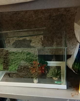 acquario