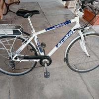 Bici elettrica 