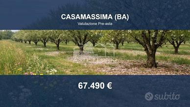 Immobile in asta di 50000 m² a Casamassima