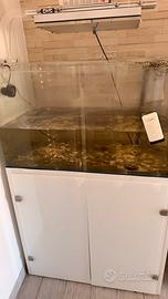 Acquario marino