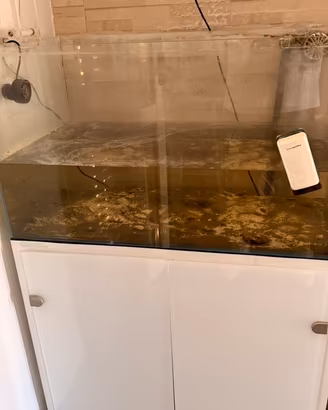 Acquario marino