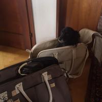 Borse da viaggio per animali
