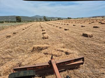 Ballette di loietto e trifoglio