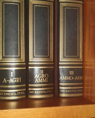 Enciclopedia+dizionario treccani+enc novencento